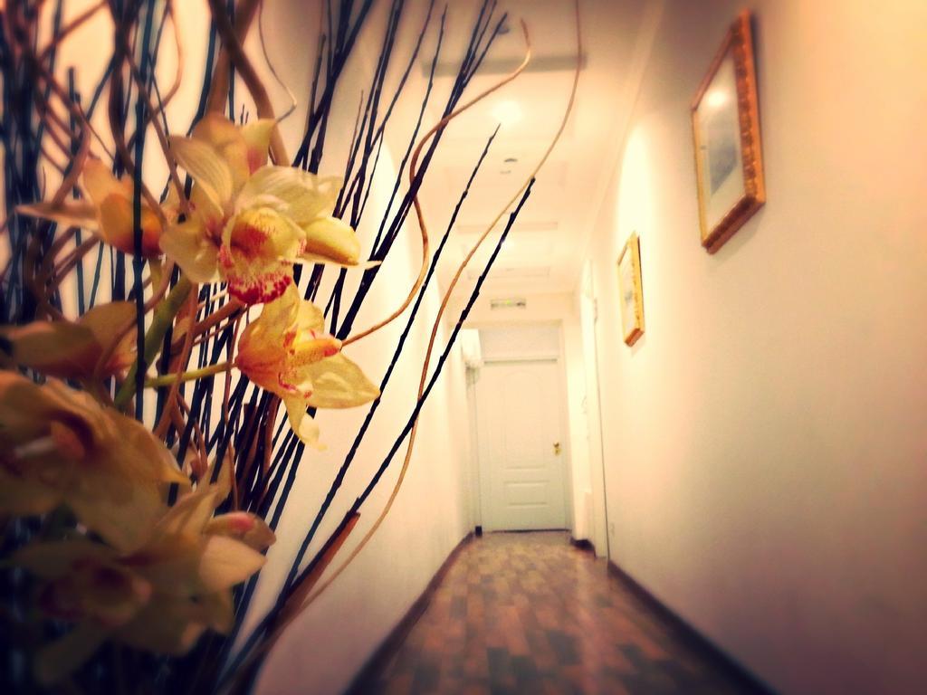 Residenza Domiziano Bed & Breakfast โรม ภายนอก รูปภาพ